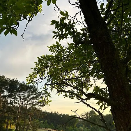 Swiety Spokoj Bielinek Cedynia