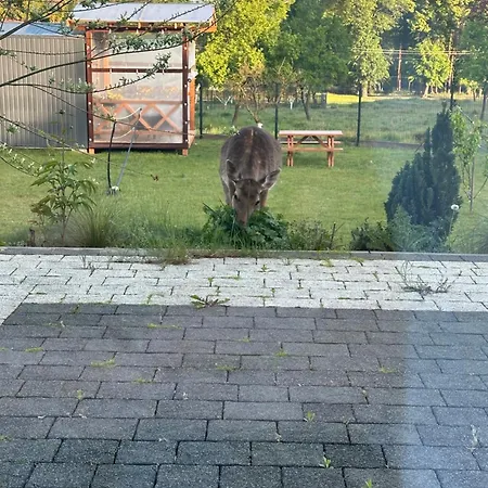 Апартаменты Swiety Spokoj Bielinek Balia Jacuzzi Taras Chojna Cedynia