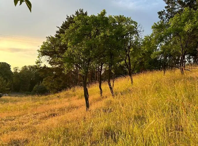 아파트 Swiety Spokoj Bielinek Taras *