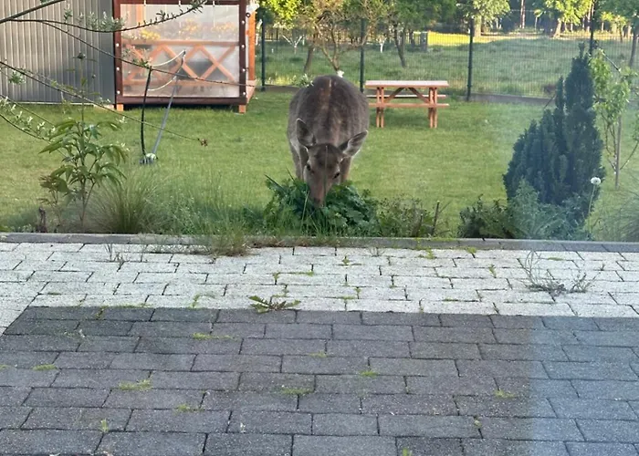 아파트 Swiety Spokoj Bielinek Taras Cedynia